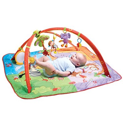 Palestra Tiny Love Gymini Move & Play