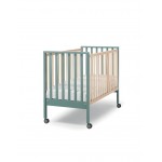 Cuna Evolution Erbesi Salvia