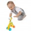 Giraffa Chicco Push&Go