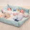  Palestrina Taf Toys North Pole 4 Seasons