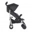 Passeggino Chicco Echo Stone