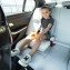 Silla de Coche Lorelli Orion Grey Bear 125-150 cm