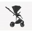 Trio Anex Eli No.5 EDICIÓN ESPECIAL (Capazo, Chasis, Silla de Paseo, Silla de Coche Cosmo y Adaptadores para Gruppo 0+)