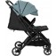 Passeggino Gemellare FreeON Action Twin