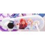 Bicicletta Disney SCH Frozen 12''