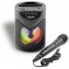 Bontempi SonicSync - Amplificatore Wireless Karaoke con Microfono e Effetti Luminosi