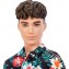 Bambola Barbie Ken Fashionistas 184