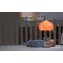  Luce Notturna Fisher Price Soffice Nuvoletta Coccola e Brilla