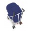 Passeggino Maclaren Quest Medieval Blue Silver