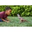 Dinosauro Mattel Jurassic World Controlla e Distruggi Carnotaurus Toro