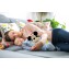 Clementoni Baby Mickey Peluche Riproduce Rumori Bianchi e Battito del Cuore con Cromoterapia