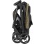Graco Silla de paseo Myavo CLOVER