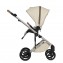 Trio Anex Eli Muse (Capazo,Chasis,Asiento Silla de Paseo ,Silla de Coche Cosmo y Adaptadores para Grupo 0+)
