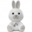 Luce Notturna Musicale Chicco First Dreams Dreamlight Bunny