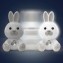 Luce Notturna Musicale Chicco First Dreams Dreamlight Bunny