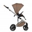 Trio Anex Eli Secret (Capazo,Chasis,Asiento Silla de Paseo,Silla de Coche Cosmo e Adaptadores para Grupo 0+)
