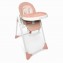 Seggiolone Multiposizione Tuc Tuc Aupa Lady Bird Rosa